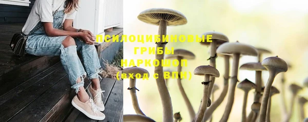бошки Видное