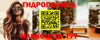 ECSTASY Кингисепп